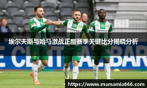 埃尔夫斯与哈马激战正酣赛季关键比分揭晓分析