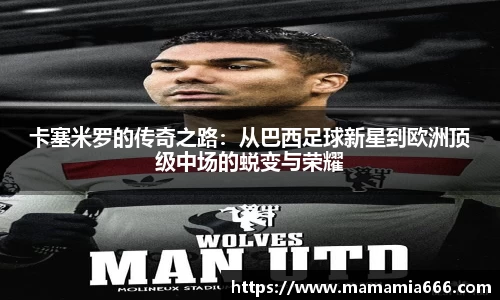 完美体育365官方网站